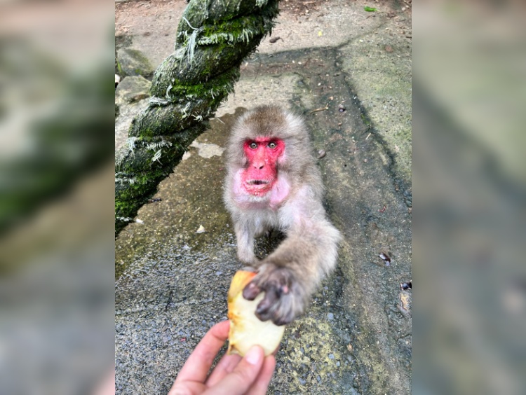 東筑波ユートピア